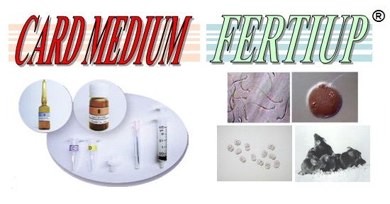 CARD FERTIUP®＆ CARD MEDIUM® 1