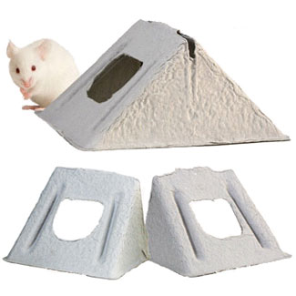 紙屋(Bio-Huts)