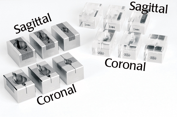 實驗動物切片模具 1