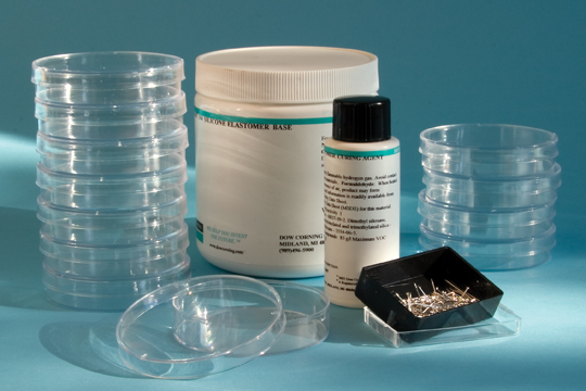 矽膠解剖盤套組 1