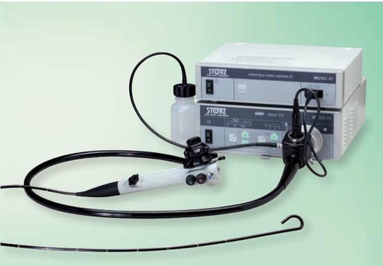 Veterinary Video Camera III