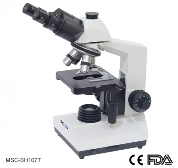 顯微鏡 Microscope