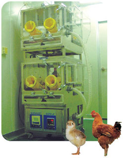 CHICKEN DUCK BIRD ISOLATOR 1