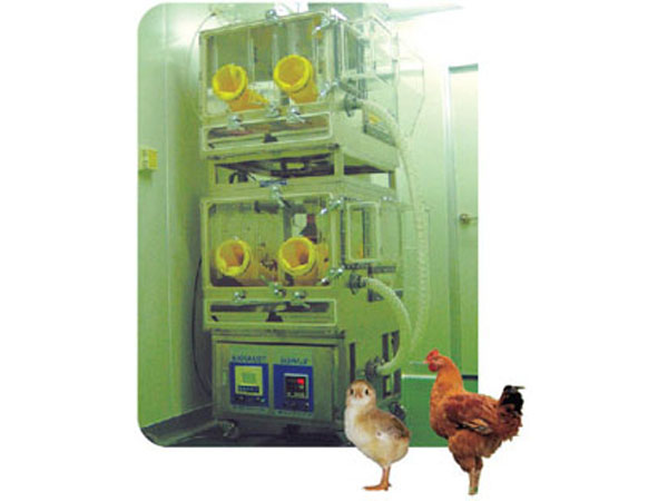 CHICKEN DUCK BIRD ISOLATOR