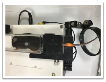 尾靜脈注射固定器 1